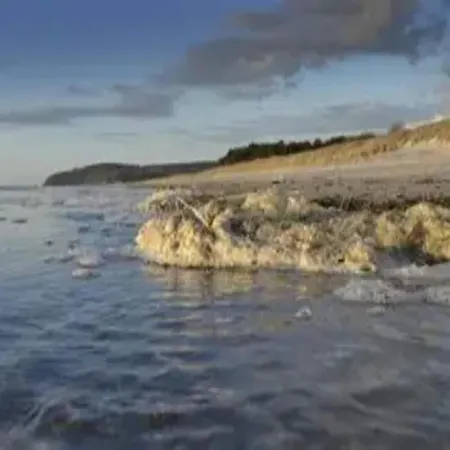 Post Hiddensee In Vitte, Cleaning Included Vitte